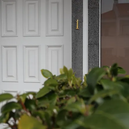 Wild Blue By Svl Appartement