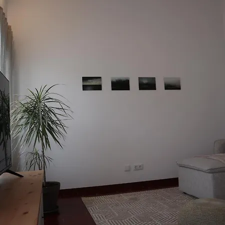 Wild Blue By Svl Apartment *